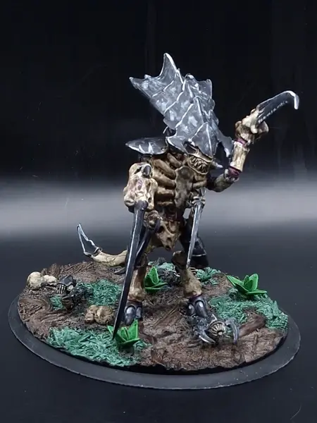 Image tyrant
