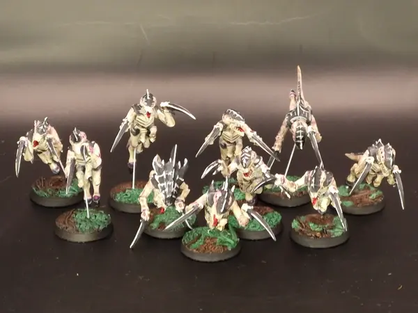 Image 20260315_094245