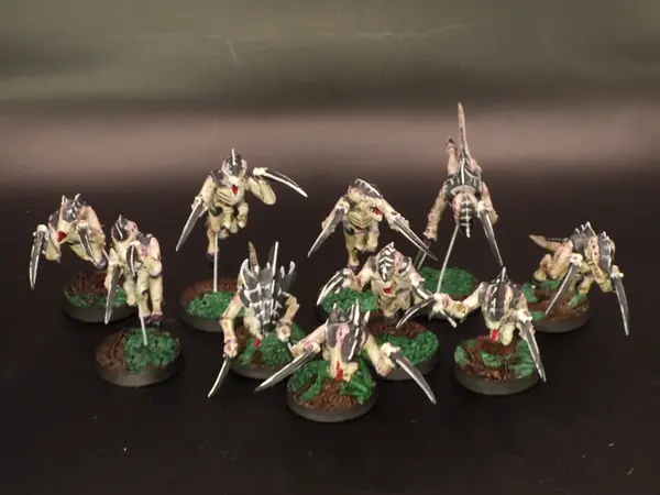 Image 20260315_094407