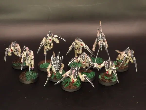 Image 20260315_094409