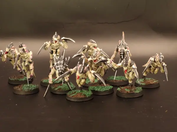 Image 20260315_094628