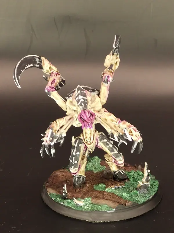 Image 20260315_154308