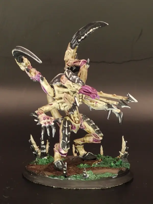 Image 20260315_154454