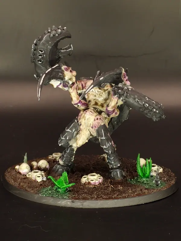 Image 20260316_135711