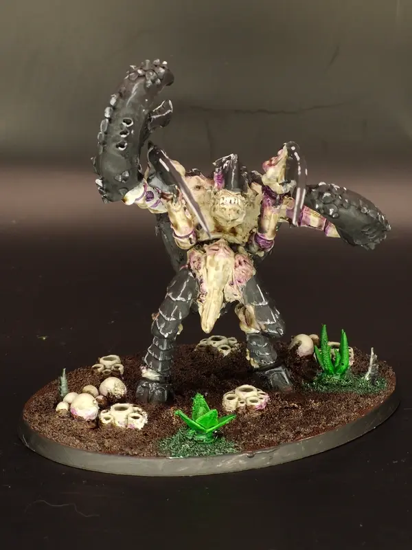 Image 20260316_135740