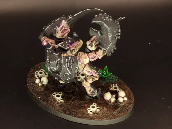 Image 20260316_135938