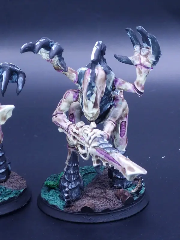 Image 20260322_093247