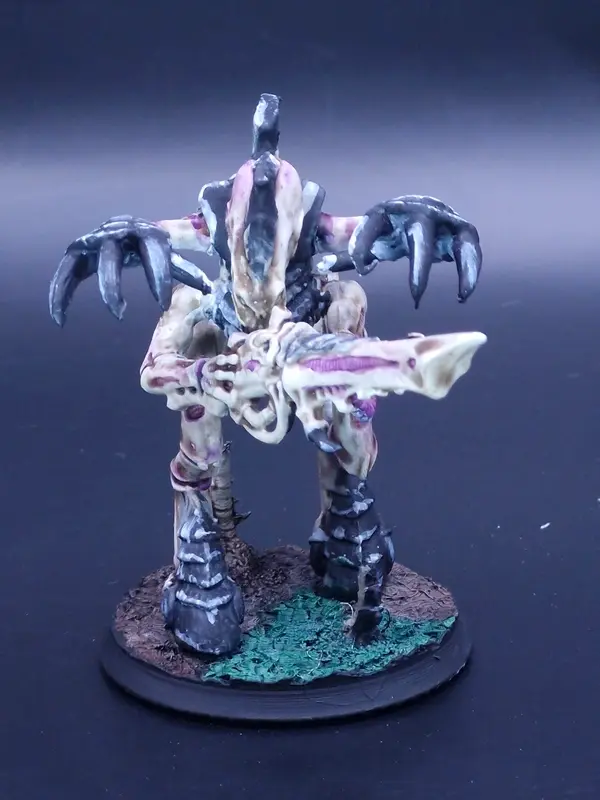 Image 20260322_093305