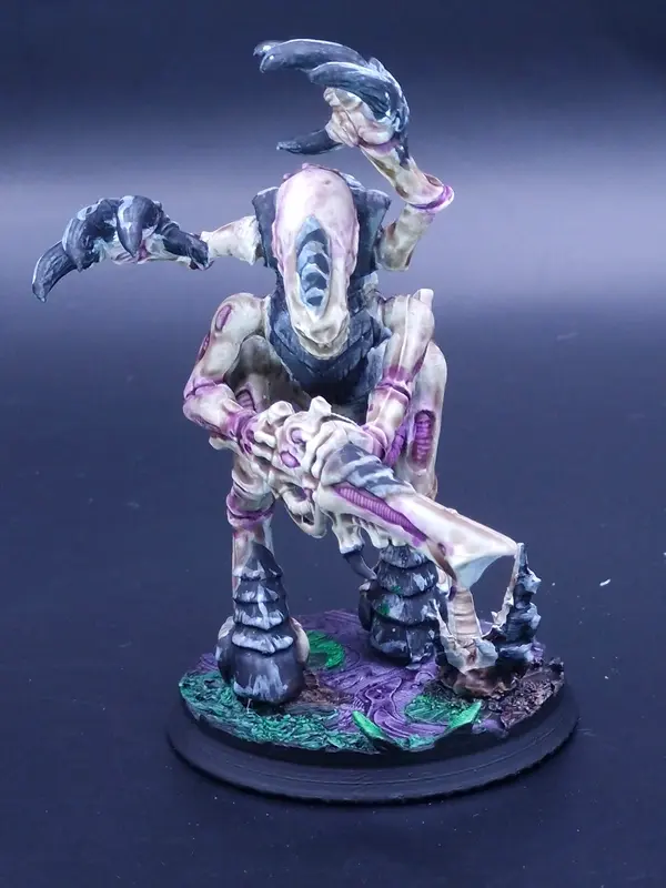 Image 20260322_093318