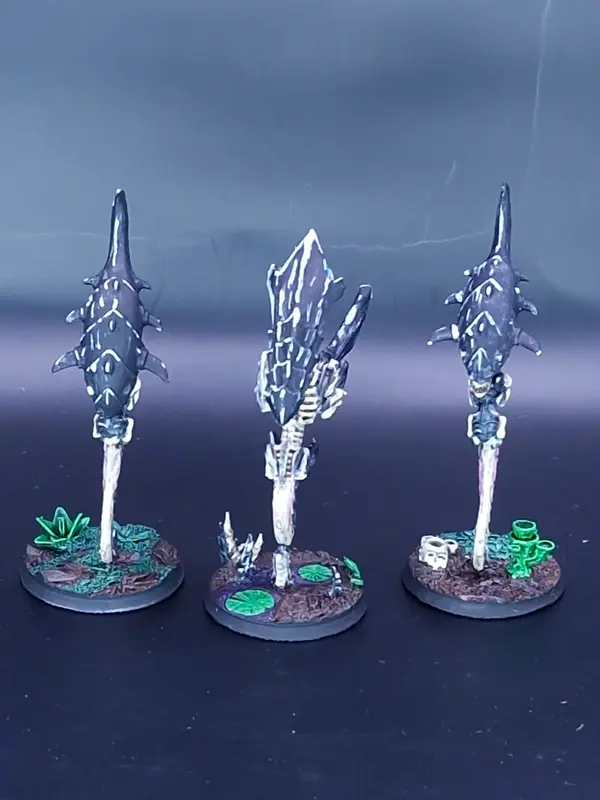 Image 20260318_075940